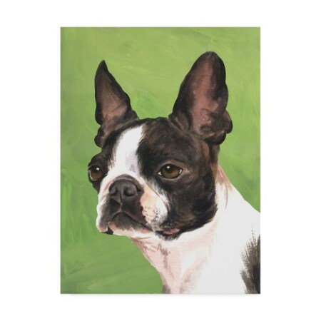 Jill Sands 'Dog Portrait Boston' Canvas Art,35x47